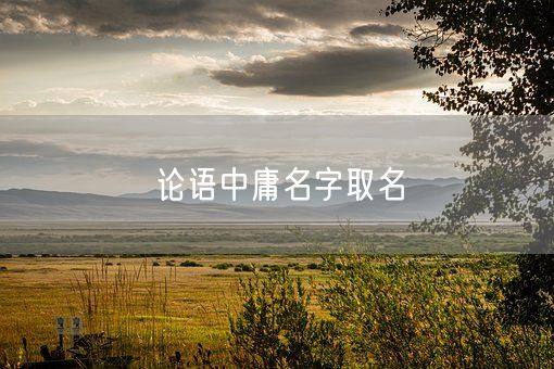 论语中庸名字取名(图1)