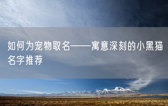 如何为宠物取名——寓意深刻的小黑猫名字推荐(图1)