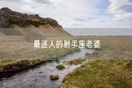 最迷人的射手座老婆(图1)