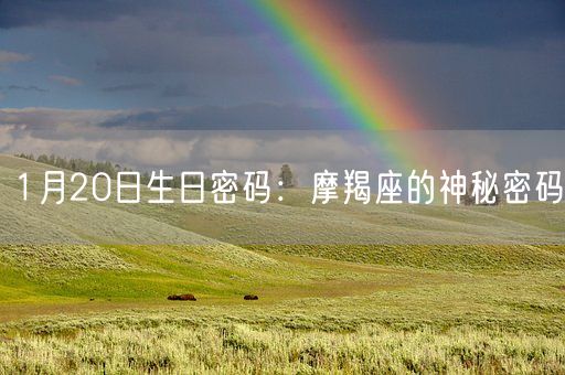 1月20日生日密码:摩羯座的神秘密码(图1) 1月20日生日密码:摩羯座的神秘密码(图1)
