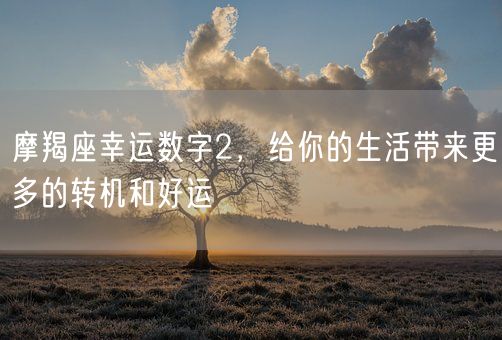 摩羯座幸运数字2,给你的生活带来更多的转机和好运(图1) 摩羯座幸运数字2,给你的生活带来更多的转机和好运(图1)