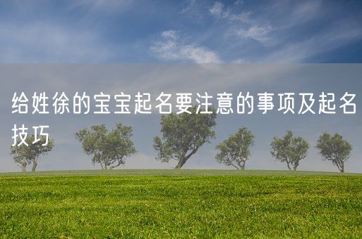 给姓徐的宝宝起名要注意的事项及起名技巧(图1)