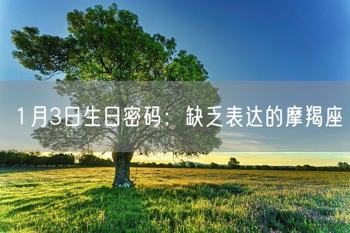 1月3日生日密码：缺乏表达的摩羯座(图1)