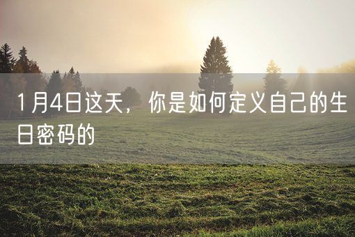 1月4日这天,你是如何定义自己的生日密码的(图1) 1月4日这天,你是如何定义自己的生日密码的(图1)