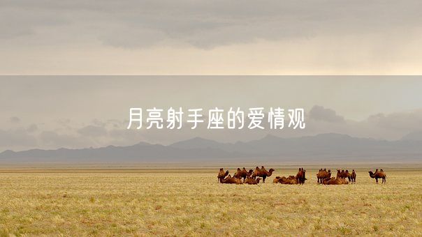 月亮射手座的爱情观(图1)