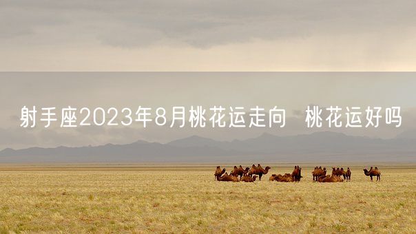 射手座2023年8月桃花运走向  桃花运好吗(图1)