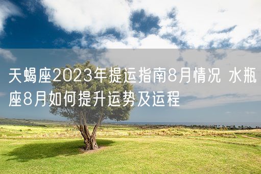天蝎座2023年提运指南8月情况 水瓶座8月如何提升运势及运程(图1)