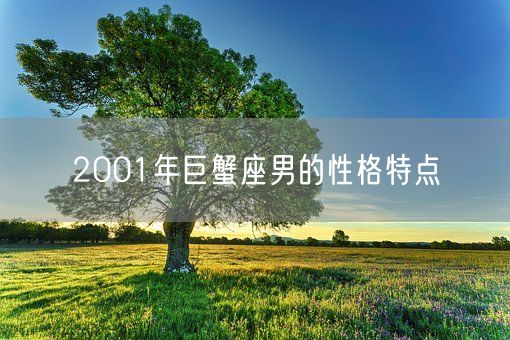 2001年巨蟹座男的性格特点(图1)