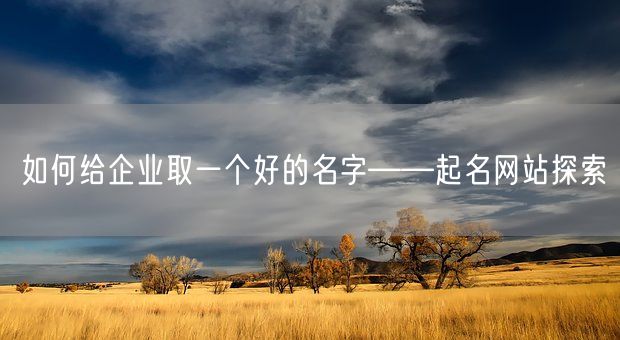 如何给企业取一个好的名字——起名网站探索(图1)