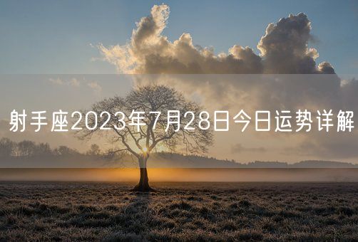 射手座2023年7月28日今日运势详解(图1)