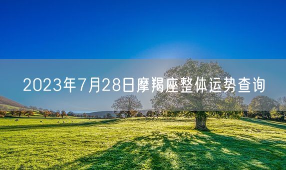 2023年7月28日摩羯座整体运势查询(图1) 2023年7月28日摩羯座整体运势查询(图1)