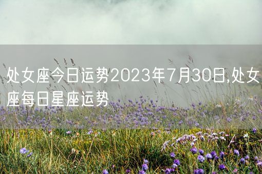 处女座今日运势2023年7月30日,处女座每日星座运势(图1)