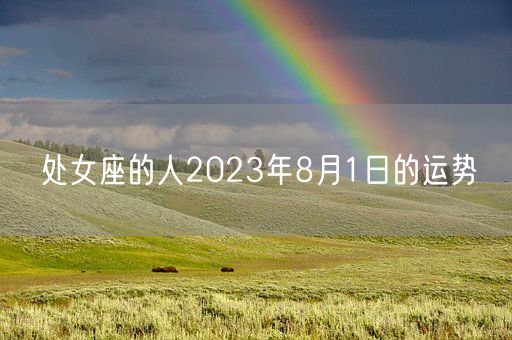 处女座的人2023年8月1日的运势(图1)