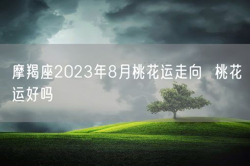 摩羯座2023年8月桃花运走向  桃花运好吗(图1)