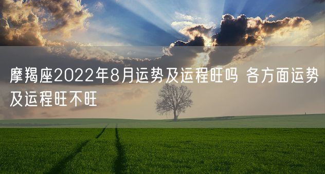 摩羯座2022年8月运势及运程旺吗 各方面运势及运程旺不旺(图1)