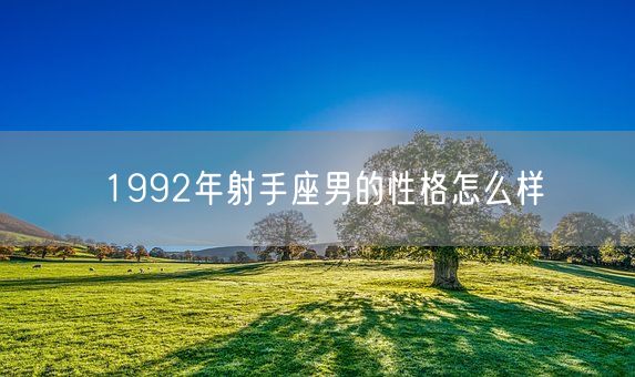 1992年射手座男的性格怎么样(图1)