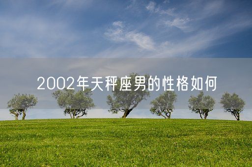 2002年天秤座男的性格如何(图1)