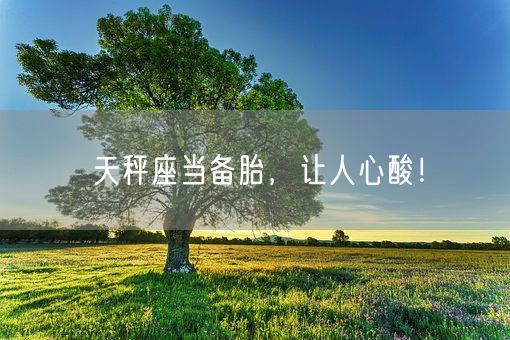 天秤座当备胎，让人心酸！(图1)