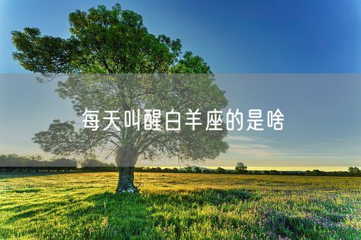 每天叫醒白羊座的是啥(图1) 每天叫醒白羊座的是啥(图1)