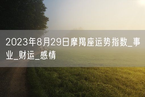 2023年8月29日摩羯座运势指数_事业_财运_感情(图1)