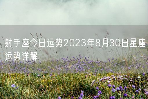 射手座今日运势2023年8月30日星座运势详解(图1)
