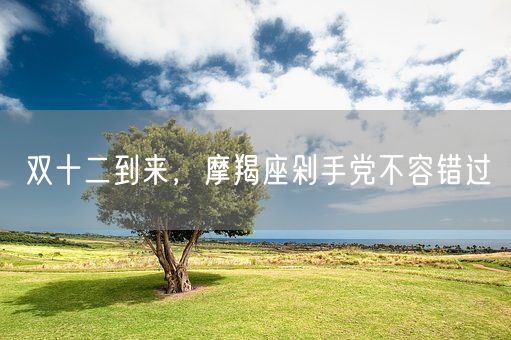 双十二到来,摩羯座剁手党不容错过(图1) 双十二到来,摩羯座剁手党不容错过(图1)