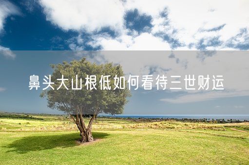 鼻头大山根低如何看待三世财运(图1)