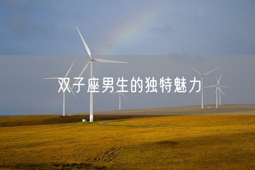 双子座男生的独特魅力(图1)