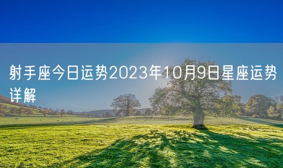 射手座今日运势2023年10月9日星座运势详解(图1)
