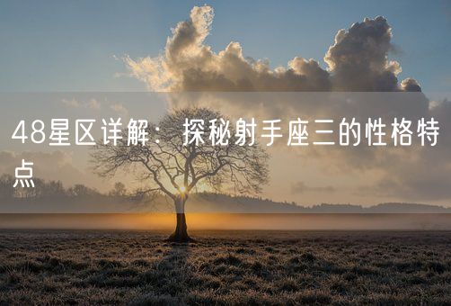48星区详解：探秘射手座三的性格特点(图1)