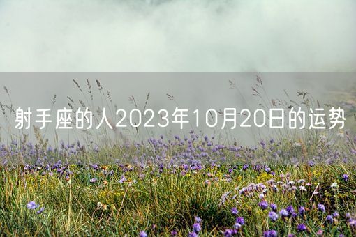 射手座的人2023年10月20日的运势(图1)