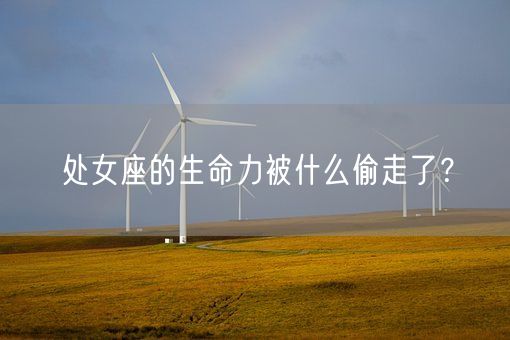 处女座的生命力被什么偷走了？(图1)