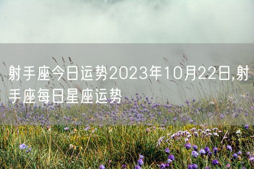 射手座今日运势2023年10月22日,射手座每日星座运势(图1)