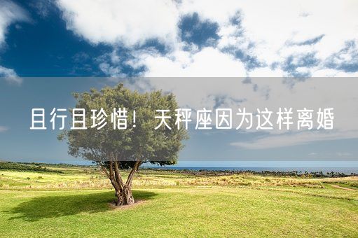 且行且珍惜！天秤座因为这样离婚(图1)