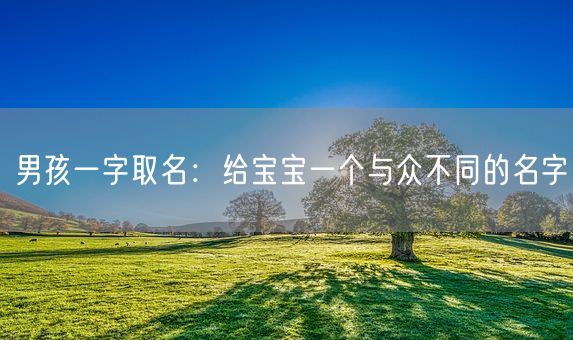 男孩一字取名：给宝宝一个与众不同的名字(图1)