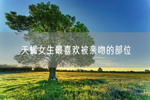 天蝎女生最喜欢被亲吻的部位(图1)