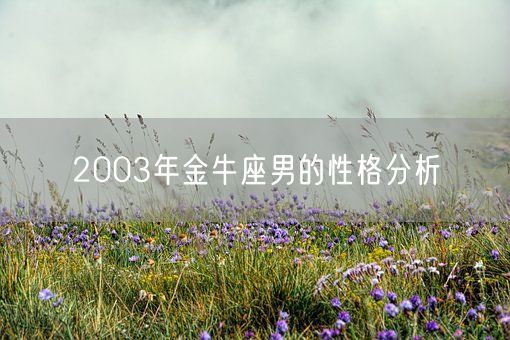 2003年金牛座男的性格分析(图1)