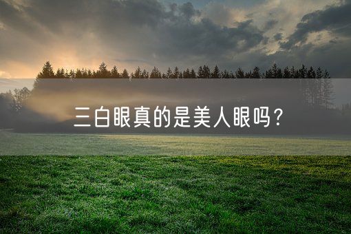 三白眼真的是美人眼吗？(图1)