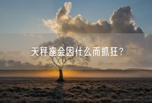 天秤座会因什么而抓狂？(图1)
