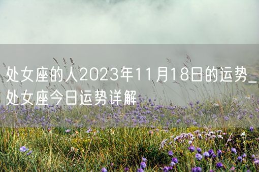 处女座的人2023年11月18日的运势_处女座今日运势详解(图1)