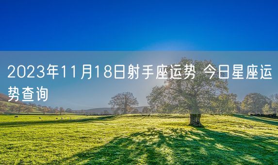 2023年11月18日射手座运势 今日星座运势查询(图1)