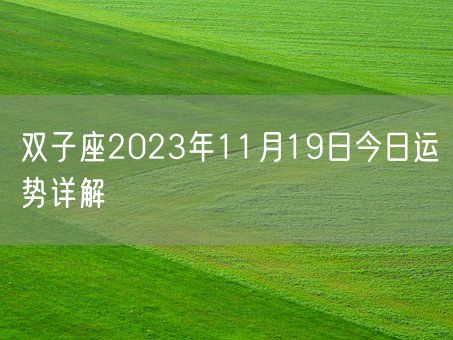 双子座2023年11月19日今日运势详解(图1)