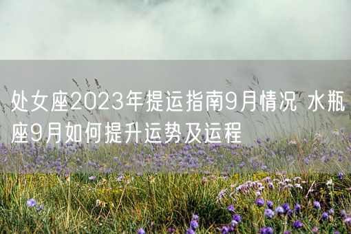 处女座2023年提运指南9月情况 水瓶座9月如何提升运势及运程(图1)