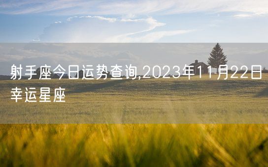 射手座今日运势查询,2023年11月22日幸运星座(图1)