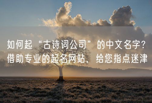 如何起“古诗词公司”的中文名字？借助专业的起名网站，给您指点迷津(图1)