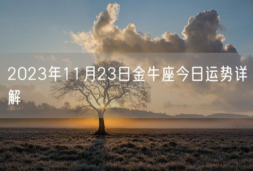 2023年11月23日金牛座今日运势详解(图1)