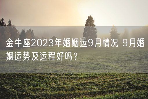金牛座2023年婚姻运9月情况 9月婚姻运势及运程好吗？(图1)