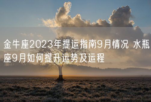 金牛座2023年提运指南9月情况 水瓶座9月如何提升运势及运程(图1)