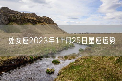 处女座2023年11月25日星座运势(图1)