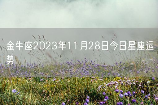 金牛座2023年11月28日今日星座运势(图1)